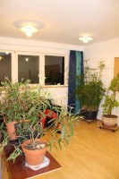 Leiterwochenende_2013_0017