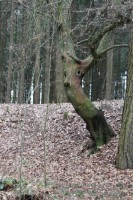 Leiterwochenende_2013_0079