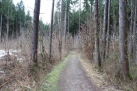 Leiterwochenende_2013_0082