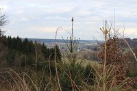 Leiterwochenende_2013_0085