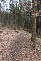 Leiterwochenende_2013_0087