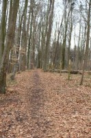 Leiterwochenende_2013_0088