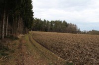 Leiterwochenende_2013_0090