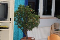 Leiterwochenende_2013_0096