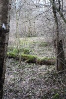 Leiterwochenende_2013_0108