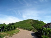 Kinderfreizeit-2009_028