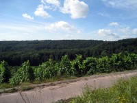 Kinderfreizeit-2009_031