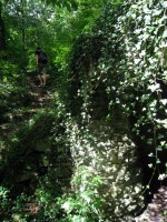 Kinderfreizeit-2009_035