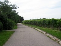 Kinderfreizeit-2009_037