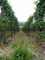 Kinderfreizeit-2009_042