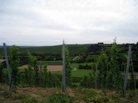 Kinderfreizeit-2009_046