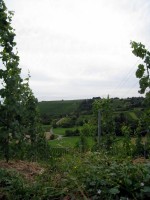 Kinderfreizeit-2009_049