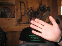 Kinderfreizeit-2009_065