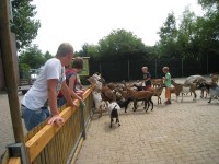 Kinderfreizeit-2009_087