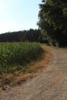 Kinderfreizeit-2013_152