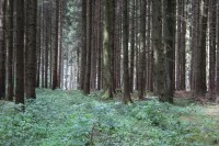 Kinderfreizeit-2013_256