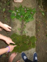 Kinderfreizeit-2014_13