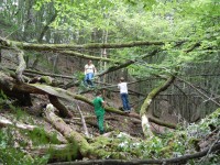 Kinderfreizeit-2014_21