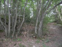 Kinderfreizeit-2014_23