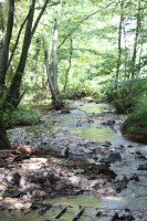 Kinderfreizeit-2014_54